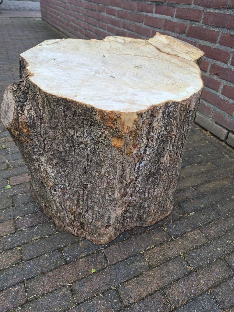 Grote Houten Boomstronk - Decoratief en Functioneel, Tuin en Terras, Palen, Balken en Planken, Ophalen, Gebruikt, Minder dan 180 cm