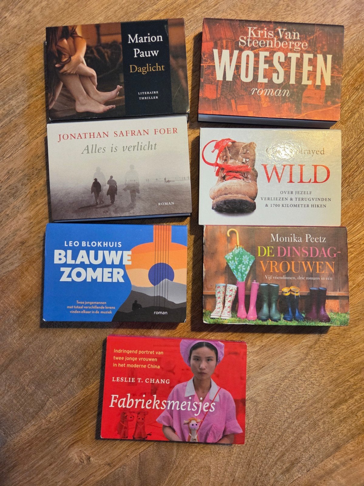 Dwarsliggers: 7 diverse romans en thrillers, Boeken, Ophalen of Verzenden, Gelezen, Marion Pauw, Kris Van Steenberge, Jonathan Safran Foer e.a.