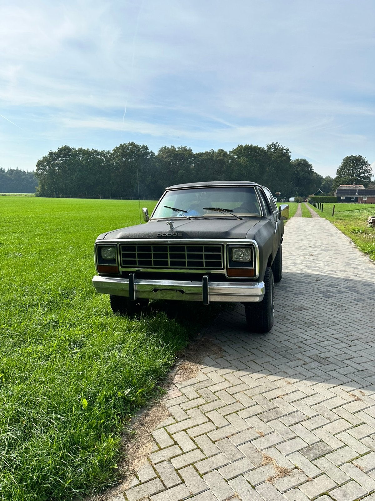 Dodge ramcharger. Dodge, Automaat, Zwart, Bruin, Vierwielaandrijving