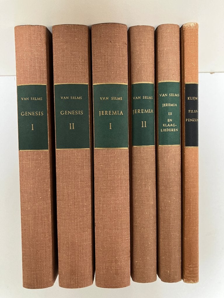 De prediking van het Oude/Nieuwe Testament, Boeken, Ophalen of Verzenden, Gelezen, Zie beschrijving