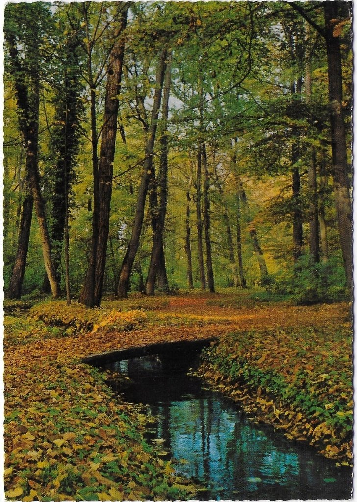 Garderen gelopen Ansichtkaart ( B2659 ), Ophalen of Verzenden, 1980 tot heden, Gelopen