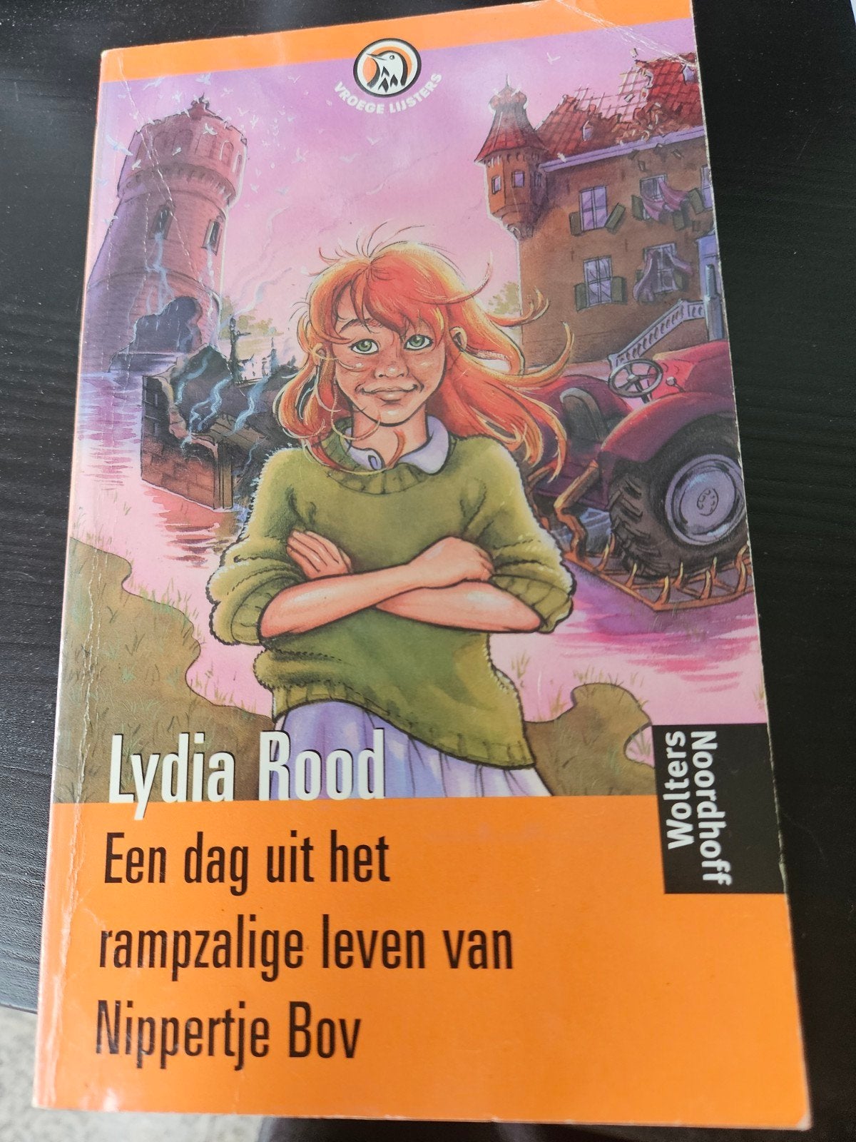 Een dag uit het rampzalige leven van Nippertje Bov, Boeken, Ophalen of Verzenden, Gelezen, Lydia Rood, Fictie
