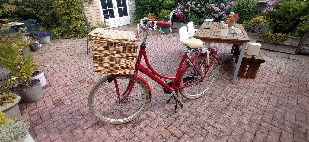 Batavus Diva