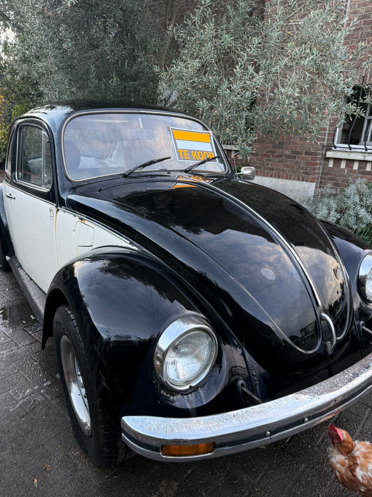 Autostick vw kever belastingsvrij, Ophalen