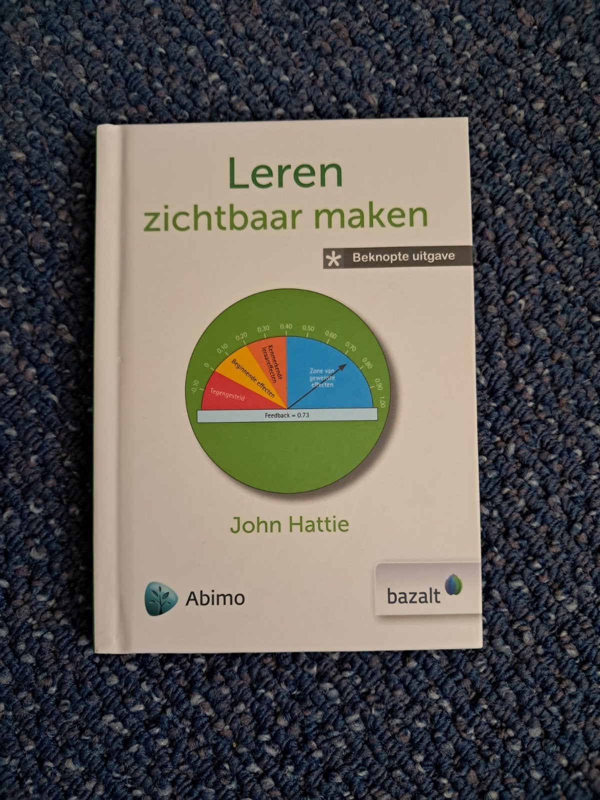 John Hattie - Leren zichtbaar maken, John Hattie, Ophalen of Verzenden, Zo goed als nieuw, Nederlands