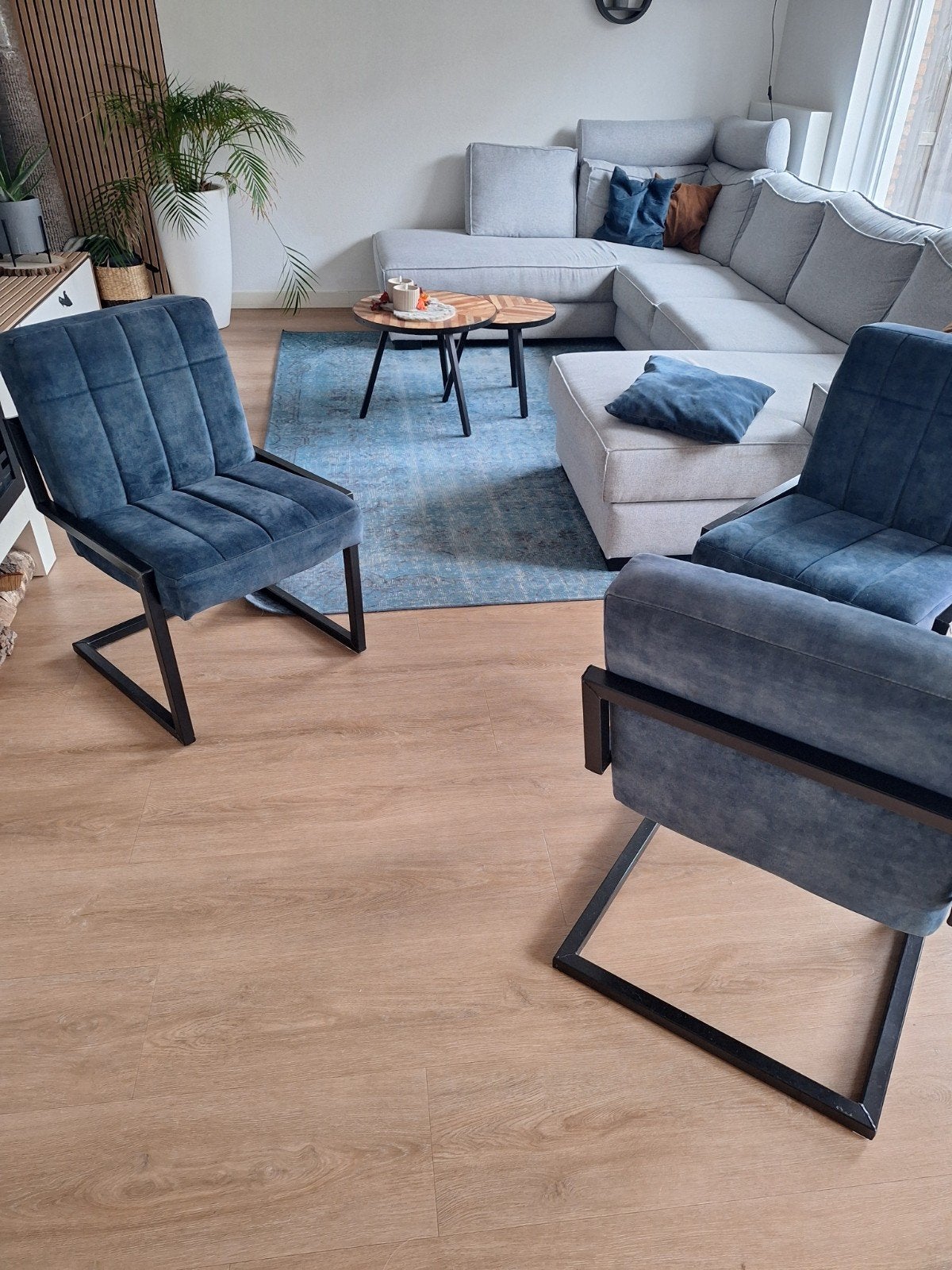 Vloerkleed, 2 kussens en 3 eetkamerstoelen - snel ophalen!, Ophalen, Gebruikt, Blauw, 150 tot 200 cm