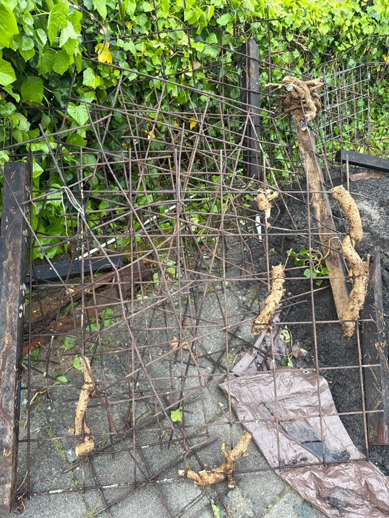 Gebruikt ijzeren hekwerk - ideaal voor tuin of afscheiding, Ophalen, Gebruikt, IJzer, Gaashekwerk