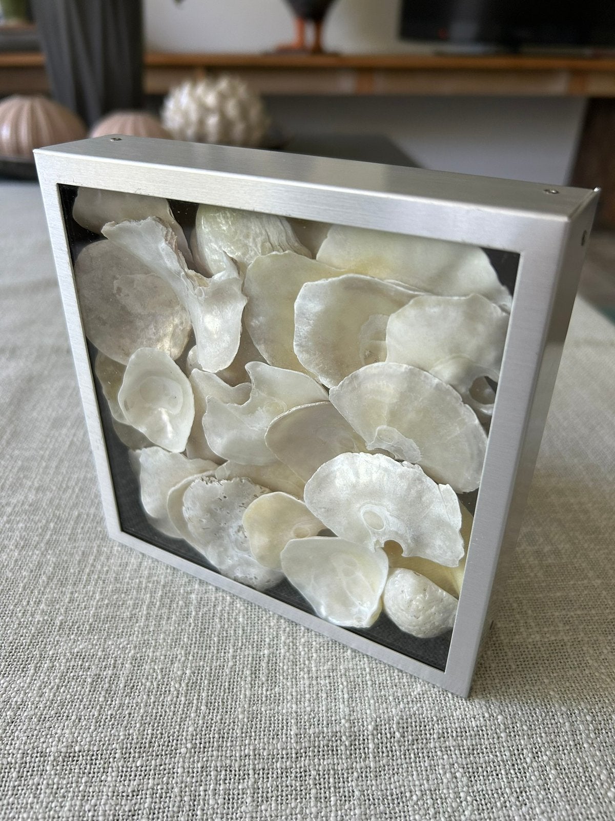 Fotolijst gevuld met schelpen / Vitrine, Ophalen of Verzenden, Schelp(en)