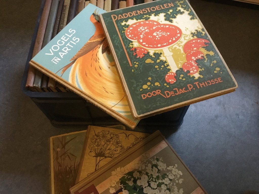 JacP Thijsse plaatjes albums, Ophalen, Gelezen, Jac. P. Thijsse
