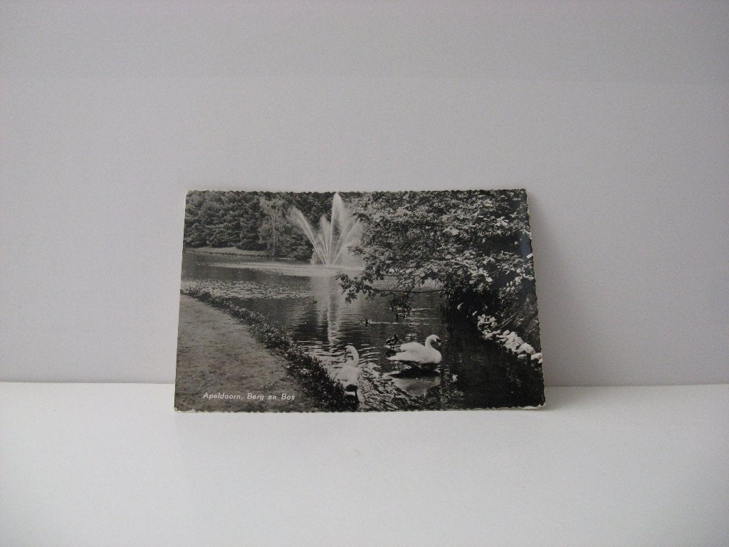 Apeldoorn Berg en Bos Zwanen, Verzenden, Voor 1920, Ongelopen, Noord-Brabant