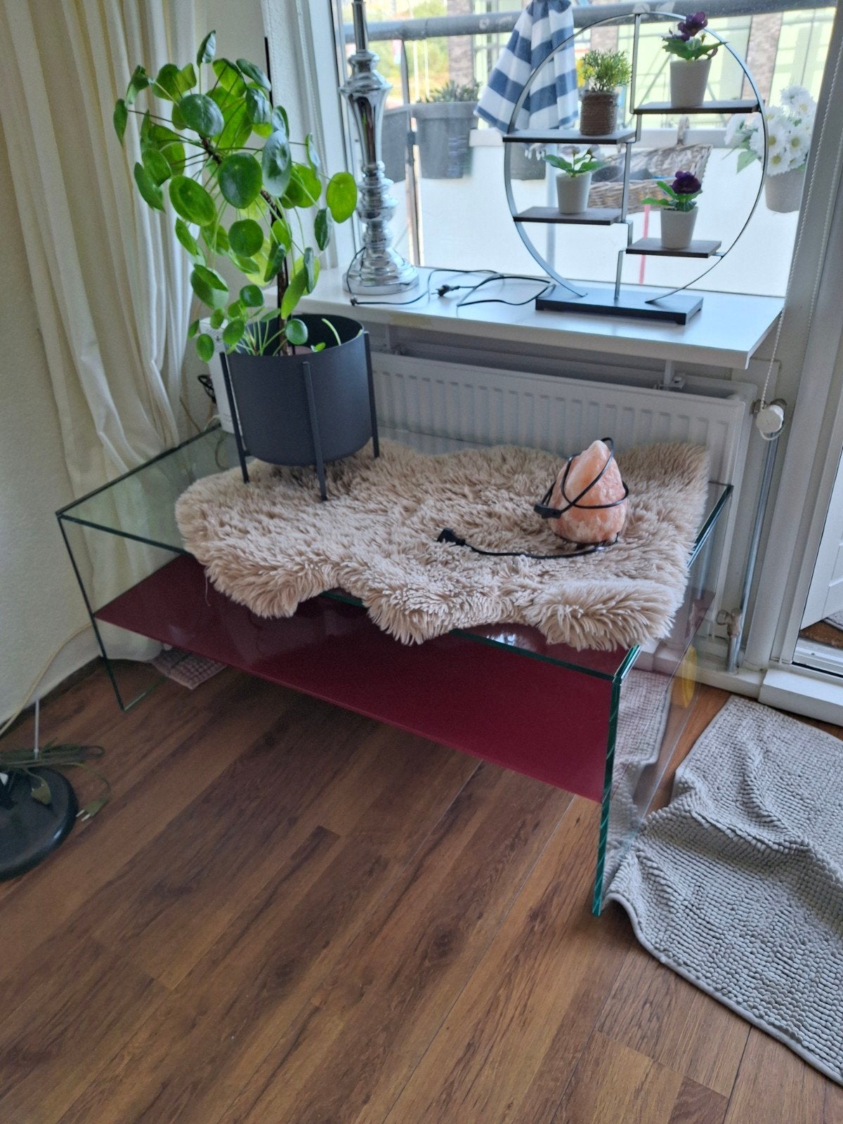 glazen  tafel, Huizen en Kamers, Kamers te huur