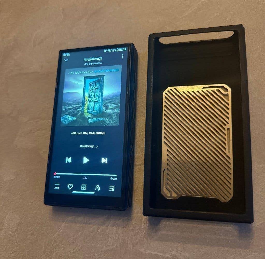 fiio m33 R2R, incl. alle toebehoren en garantiebon. z.g.a.n, Meerdere dieren, Overige soorten