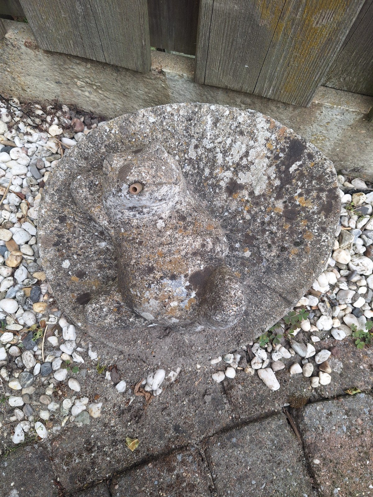 Betonnen kikker beeld voor tuin of vijver, Tuin en Terras, Ophalen, Gebruikt, Beton, Waterornament