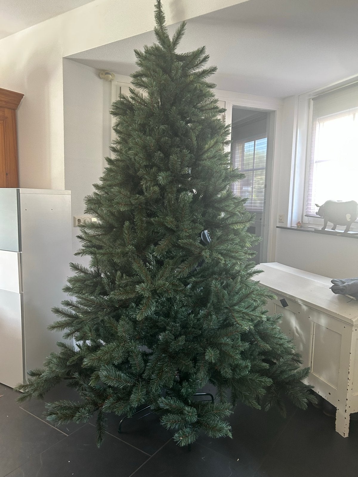 Kerstboom Romagnes 2.30 m Intratuin, Ophalen