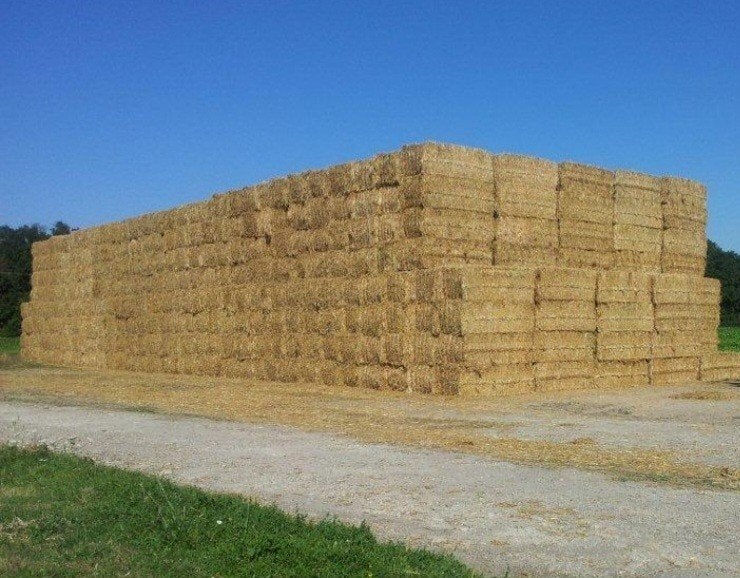 Tarwe en gerste stro, Ophalen of Verzenden, Vee