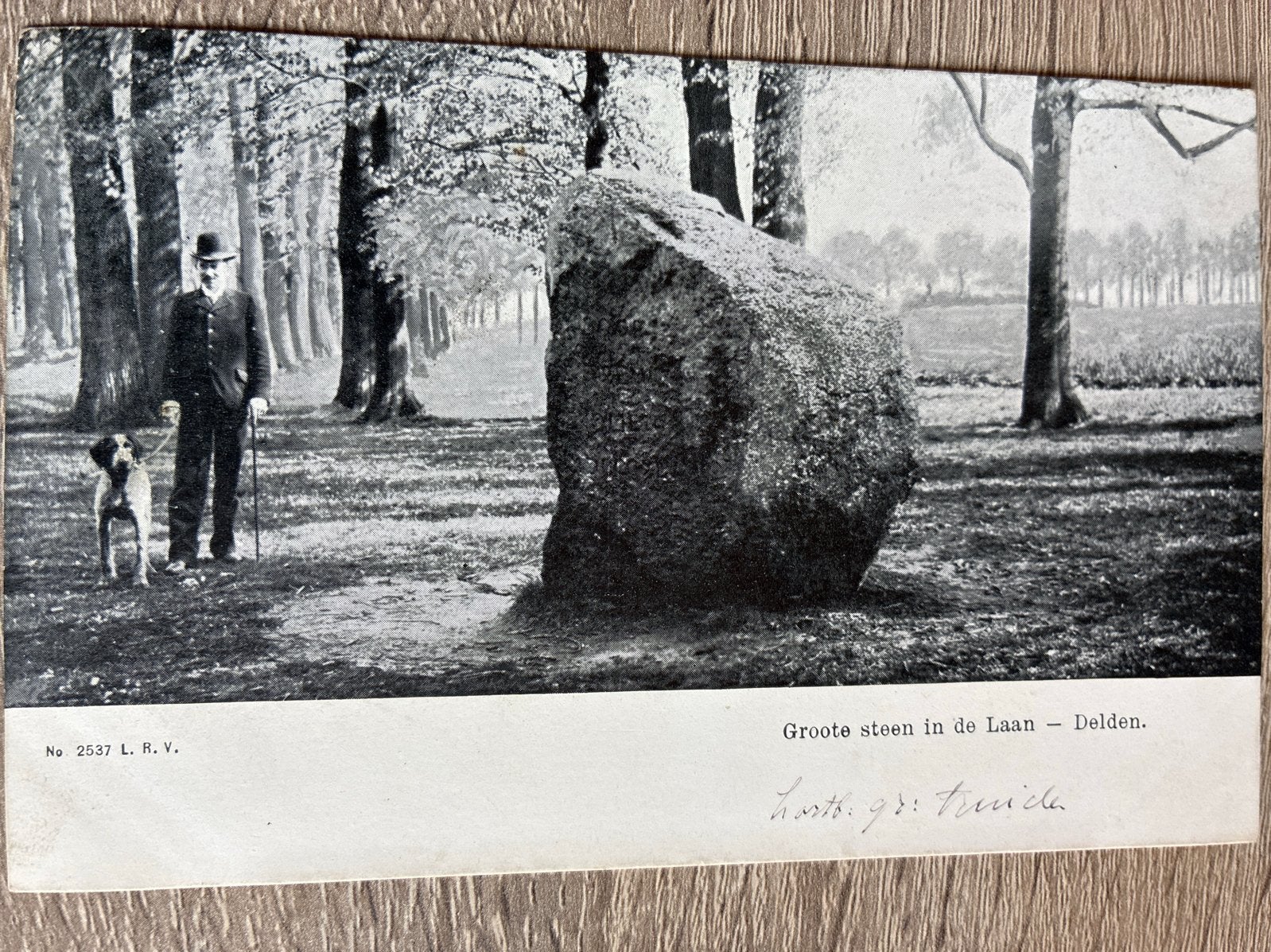 Oude briefkaart: Grote Steen in de Laan, Delden (Gelderland), Ophalen of Verzenden, Voor 1920, Gelopen, Gelderland