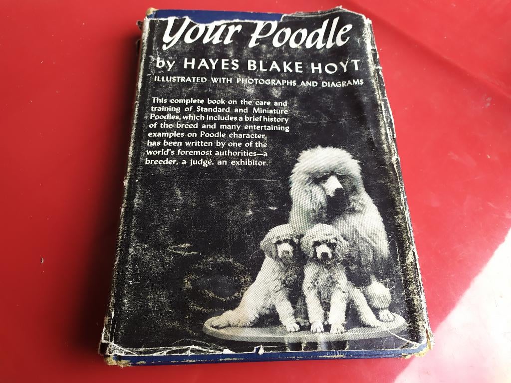 Your Poodle - By Hayes Blake Hoyt, Ophalen of Verzenden, Gelezen, Honden