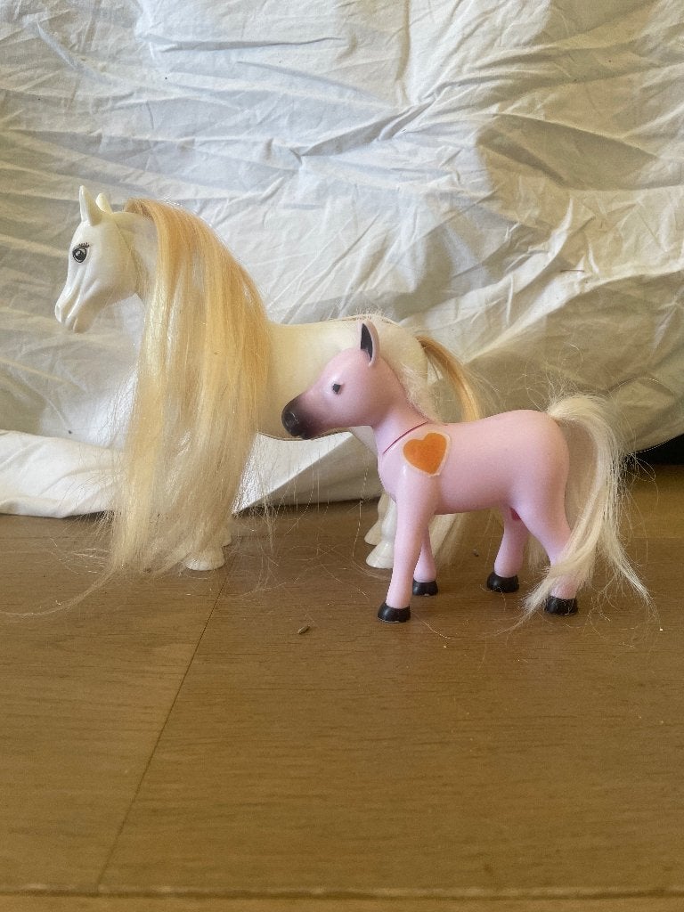 Een paard en een pony, Ophalen of Verzenden, Gebruikt, Overige typen