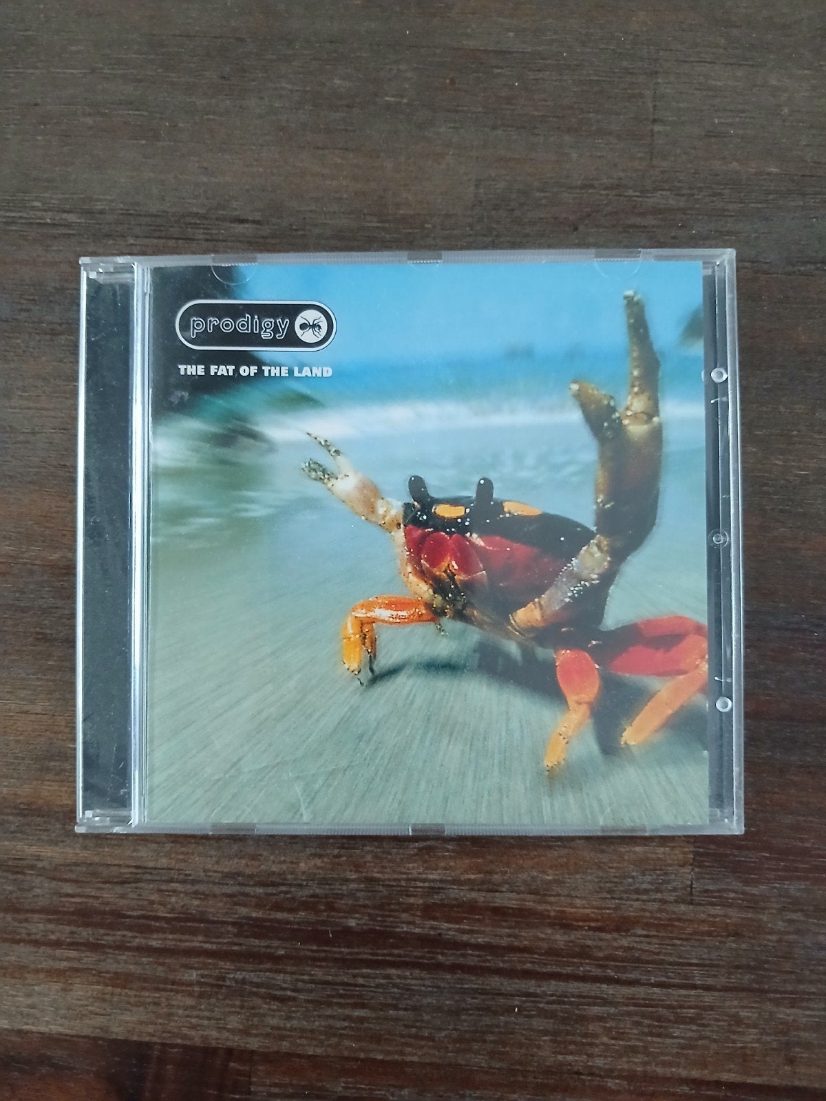Prodigy cd, Ophalen of Verzenden, Zo goed als nieuw