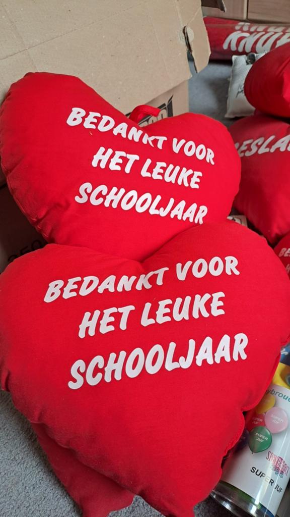 Kussentjes hartmodel bedankt schooljaar, Ophalen, Rood, Vierkant