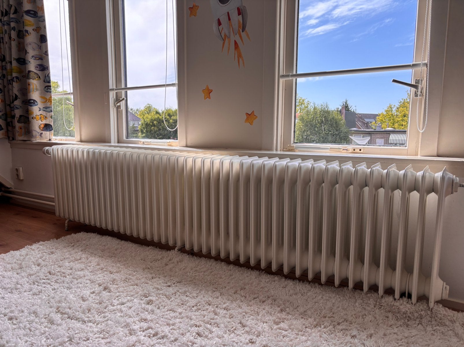 Traditionele kolomradiator, Ophalen, 30 tot 80 cm, Gebruikt, Radiator