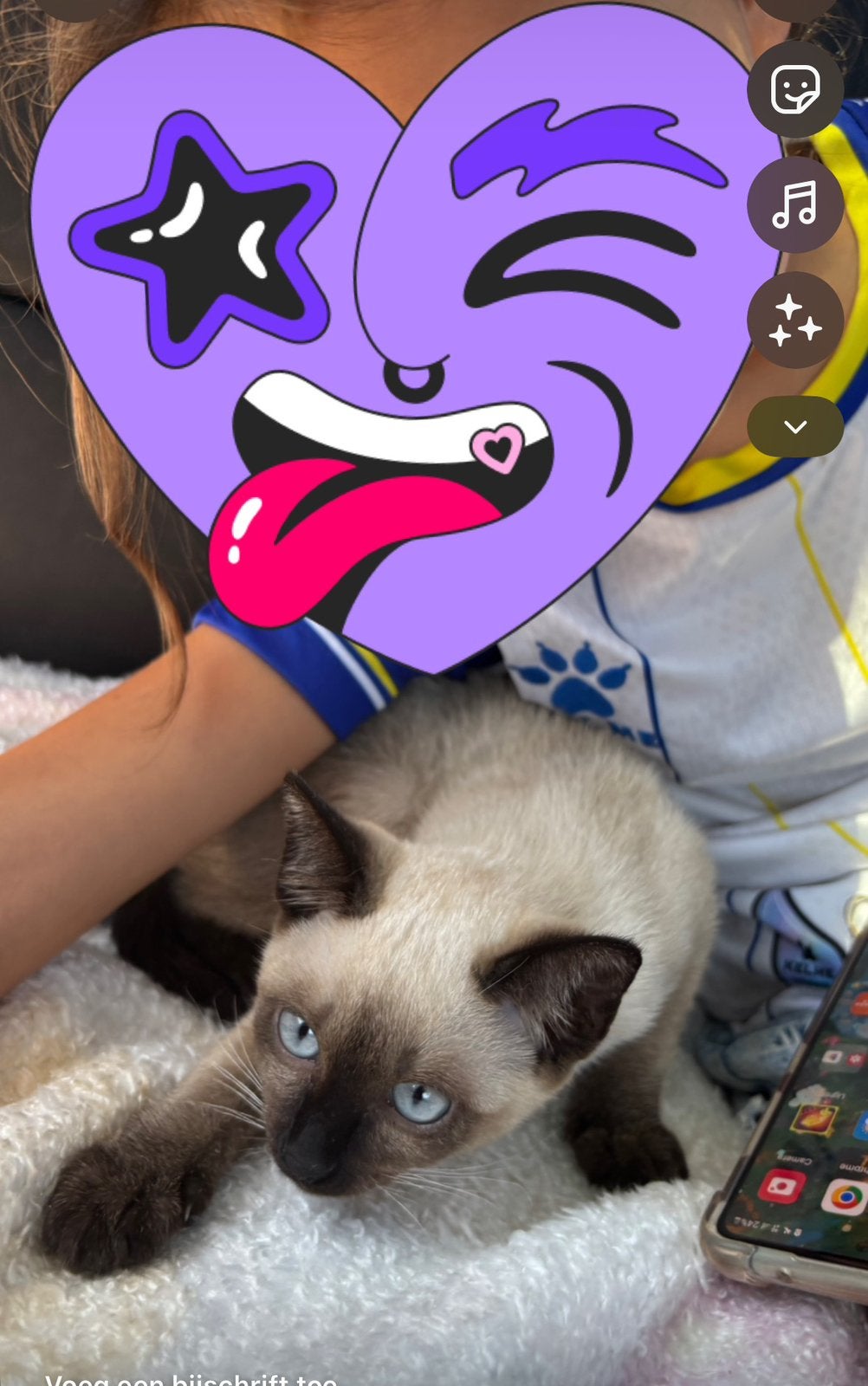 Lieve Siamese poesje zoekt een liefdevol nieuw thuis, Poes, Gechipt