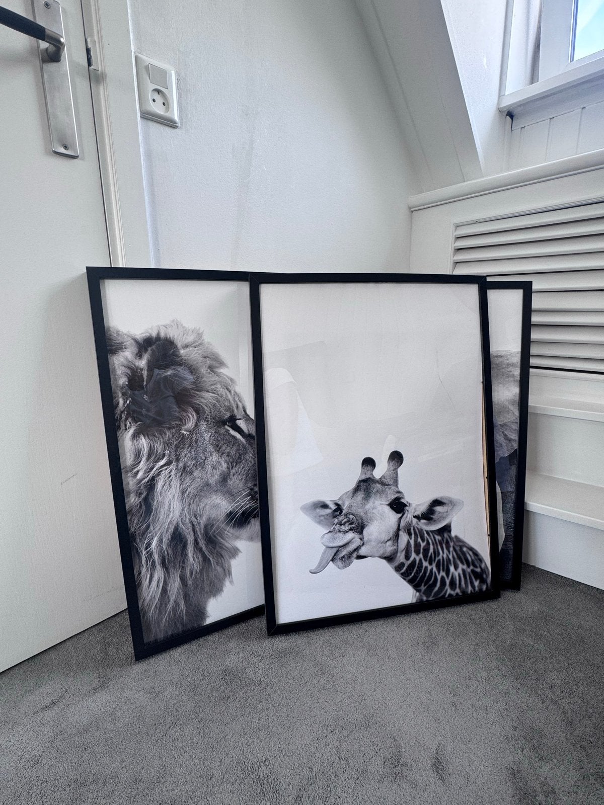 Set van 3 ingelijste zwart-wit prints van dieren, 50 – 75, Minder dan 50 cm, Oorspronkelijke maker, Ophalen of Verzenden