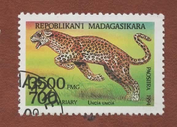 Katachtigen - Madagasikara - 1707 - gebr - Panter - gebr, Verzenden, Gestempeld, Dier of Natuur