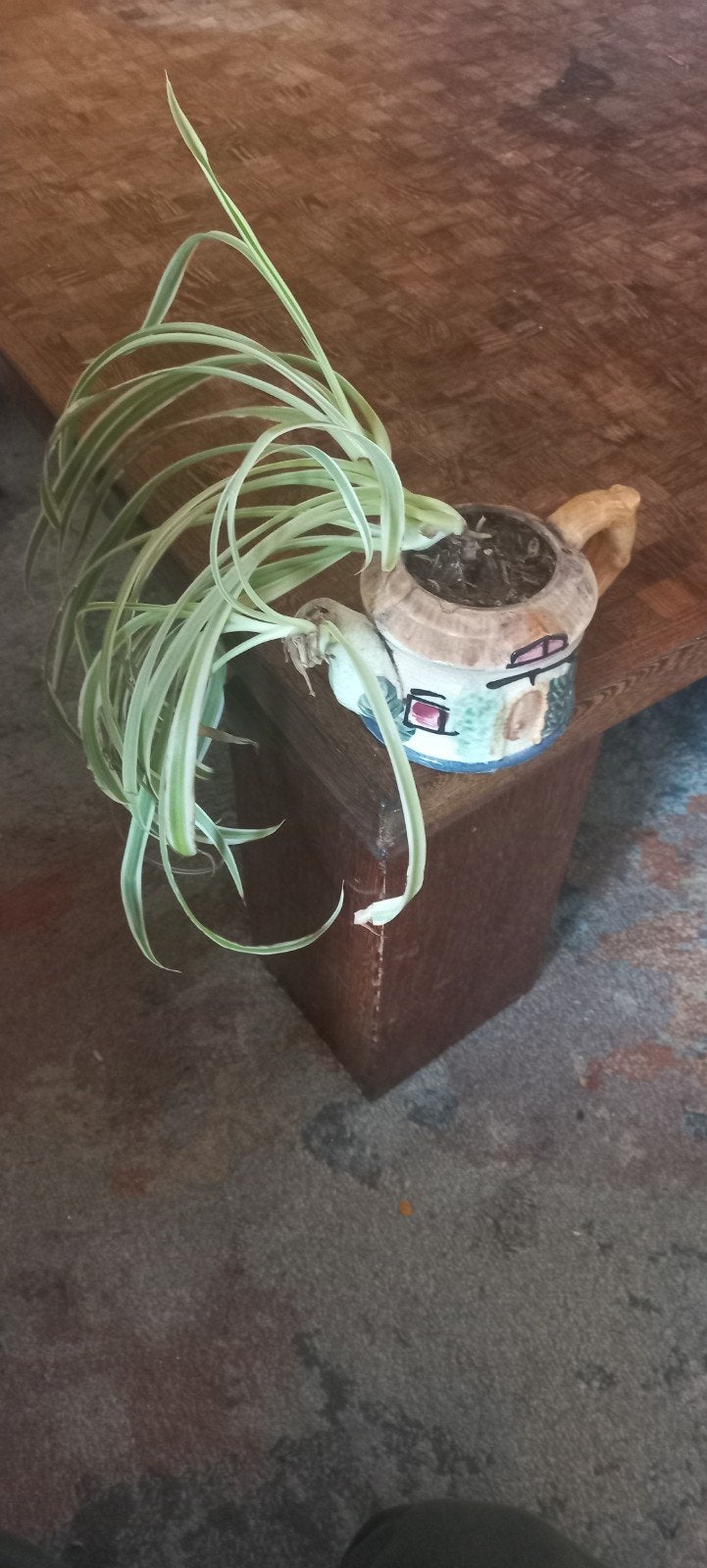 Leuke theepot bloempot met plantje, Huis en Inrichting, Ophalen, Gebruikt, Meerkleurig, Overige stijlen