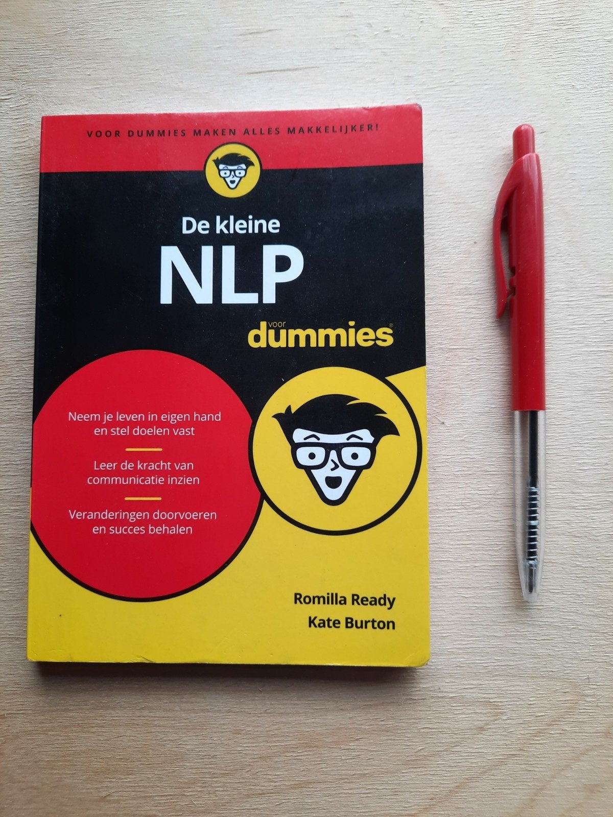 Romilla Ready - De kleine NLP voor Dummies, Ophalen of Verzenden, Zo goed als nieuw, Romilla Ready; Kate Burton