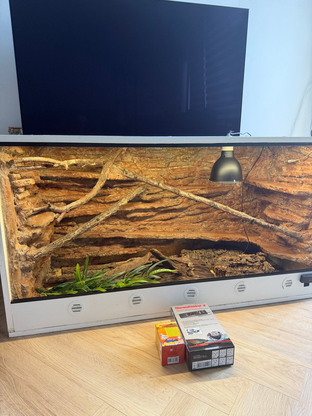Terrarium 120x50x63met achterwand, thermostaat en decor, Dieren en Toebehoren, Ophalen, Gebruikt, Terrarium of Paludarium