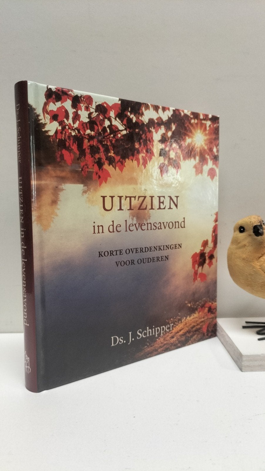 Schipper, Ds. J.; Uitzien in de levensavond, Ophalen of Verzenden, Gelezen, Christendom | Protestants
