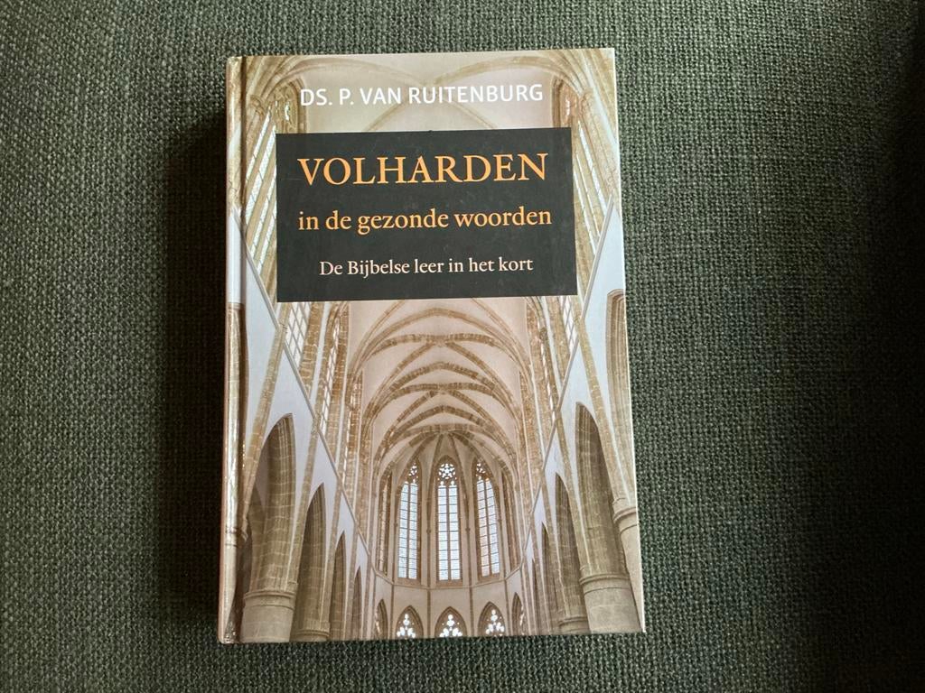 Volharden in de gezonde woorden - Ds. P. van Ruitenburg, Boeken, Ophalen of Verzenden, Zo goed als nieuw, Christendom | Protestants