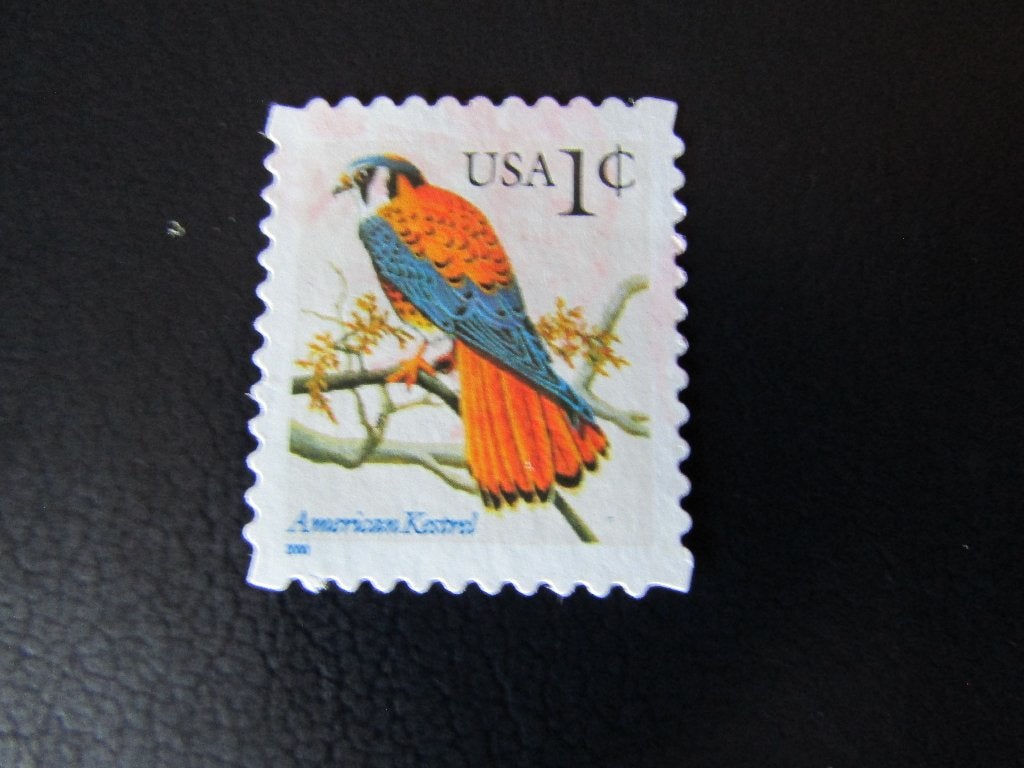 Postzegel Vogel: Amerikaanse Torenvalk uit de U.S.A., Ophalen of Verzenden, Gestempeld, Dier of Natuur