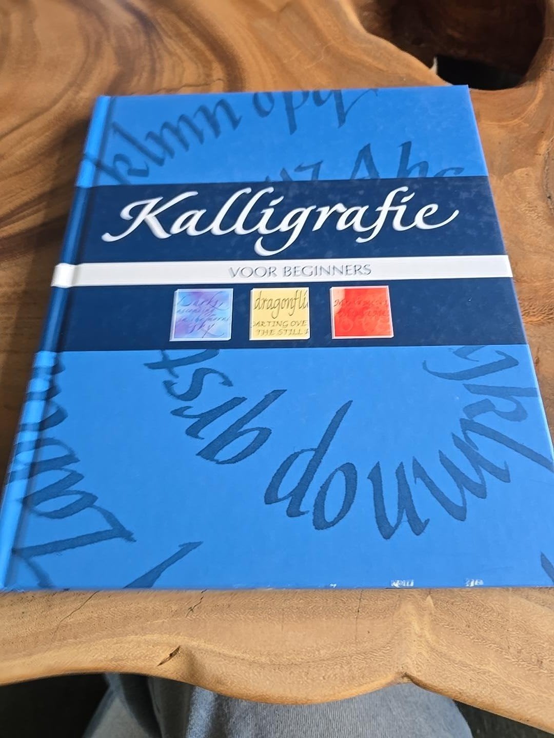 Kalligrafie voor beginners – hardcover, Ophalen, Overige uitgevers
