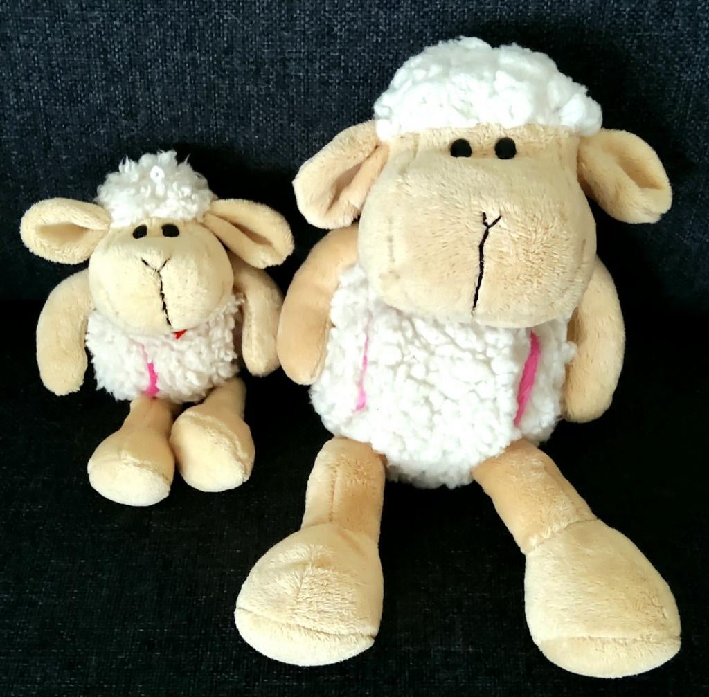Wij komen van Texel en zijn heel erg lief en zacht., Ophalen of Verzenden, Zo goed als nieuw, Overige typen
