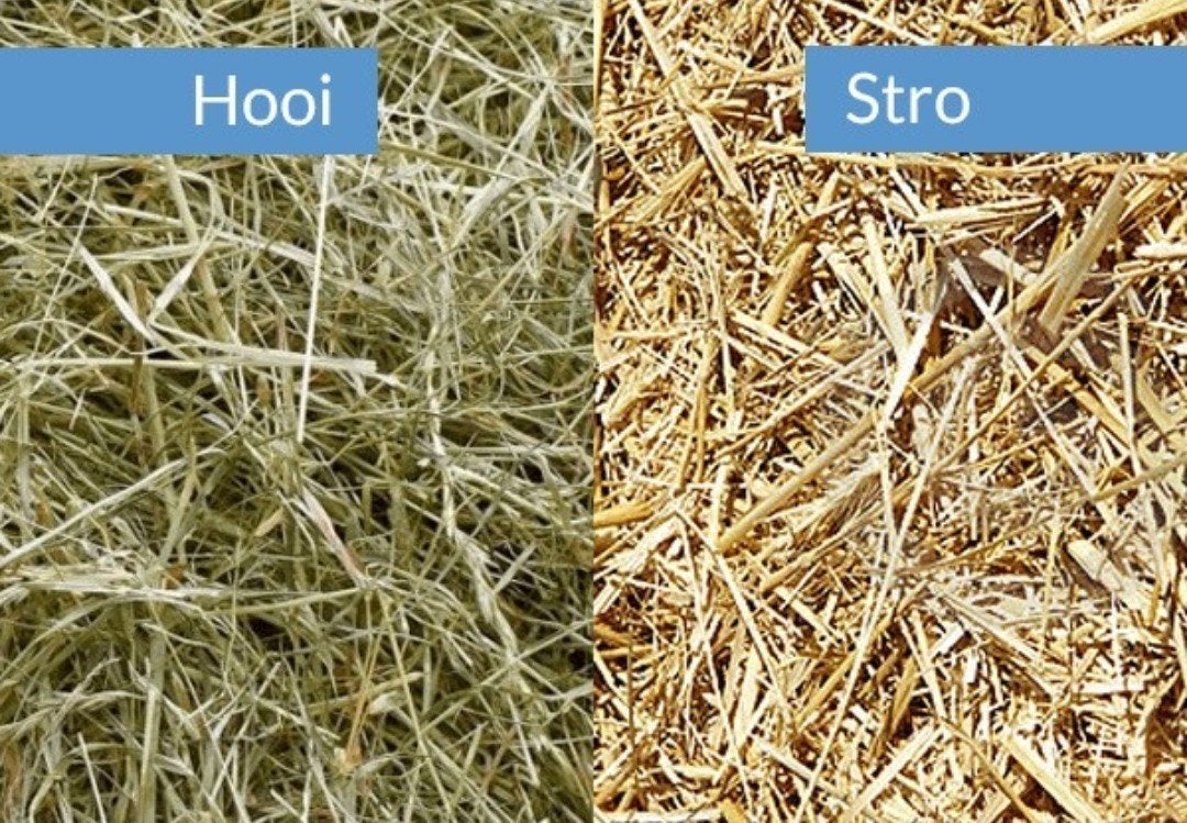 Hooi stro grasbalen grote en kleine balen vanaf 5 euro, Dieren en Toebehoren, Ophalen of Verzenden, Vee