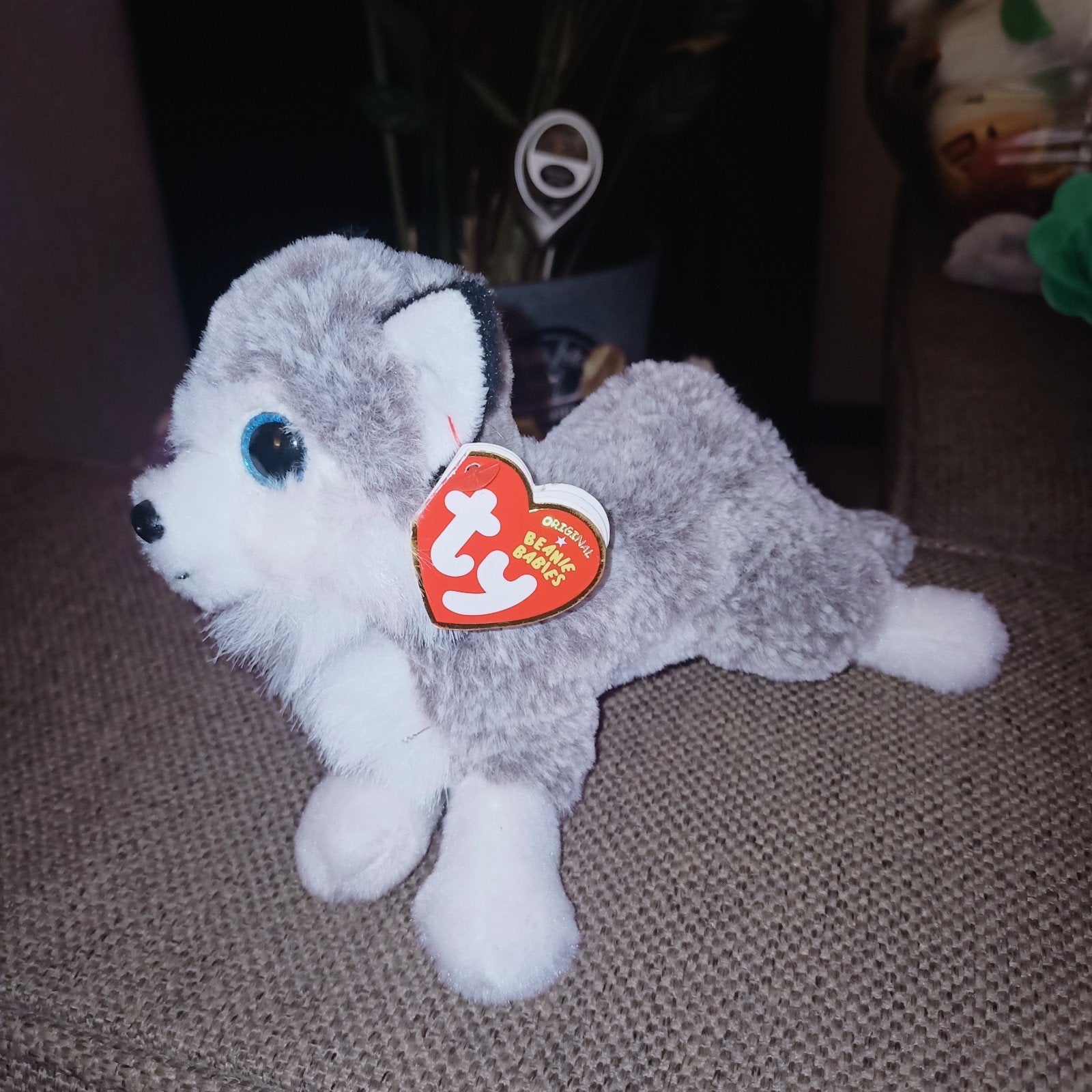 Ty beanie husky, baltic, 2021., Grijs, Nieuw, Wasbaar, Klein (minder dan 20 cm)