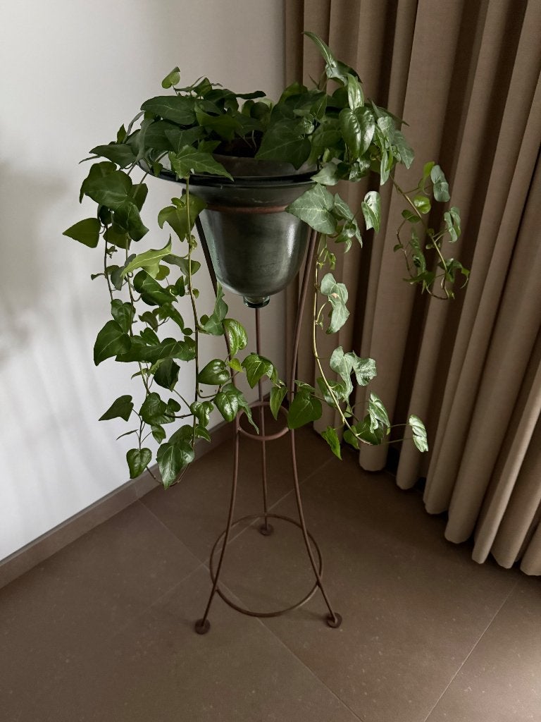 Plantenstandaard met glazen stolp, Ophalen, Gebruikt