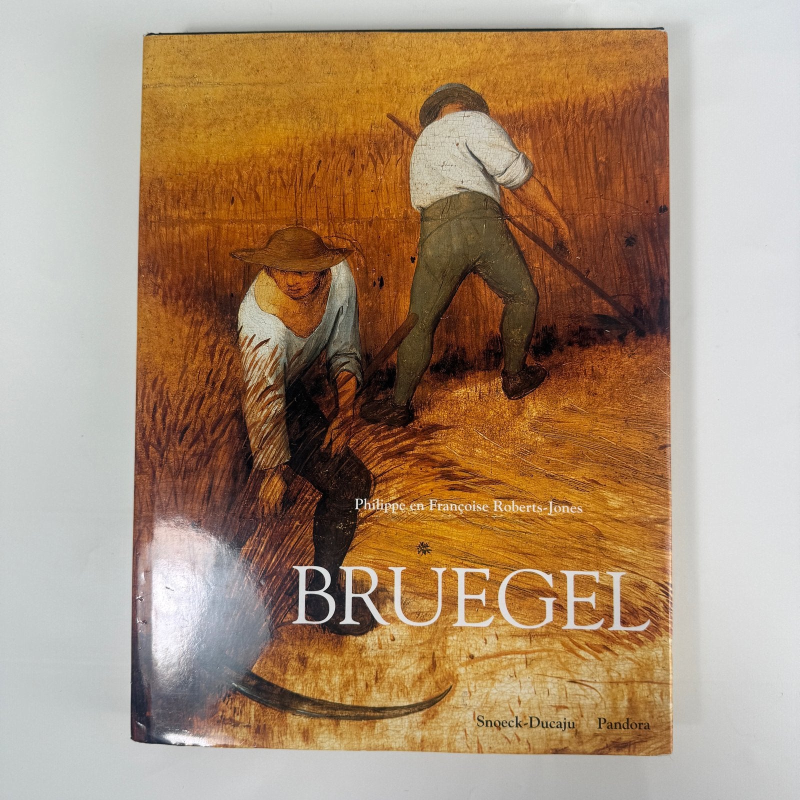 Bruegel - Kunstboek over Pieter Bruegel de Oude, Boeken, Ophalen of Verzenden, Zo goed als nieuw, Schilder- en Tekenkunst