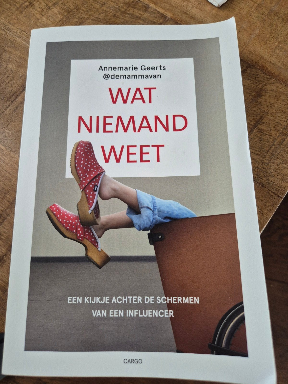 Wat Niemand Weet - Annemarie Geerts (Boek), Ophalen of Verzenden, Zo goed als nieuw, Annemarie Geerts, Nederland