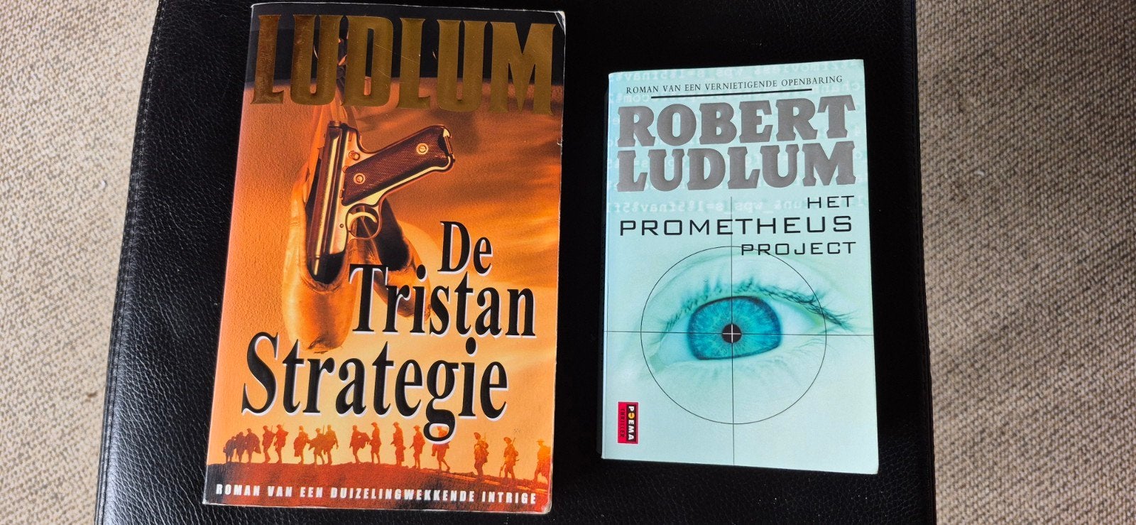 Ludlum: de Tristan strategie en het Prometheus project, Boeken, Ophalen of Verzenden, Gelezen