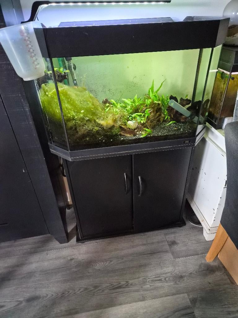 Aquarium jewel, Dieren en Toebehoren, Vissen | Aquaria en Toebehoren, Gebruikt, Ophalen of Verzenden, Leeg aquarium, Verwarming
