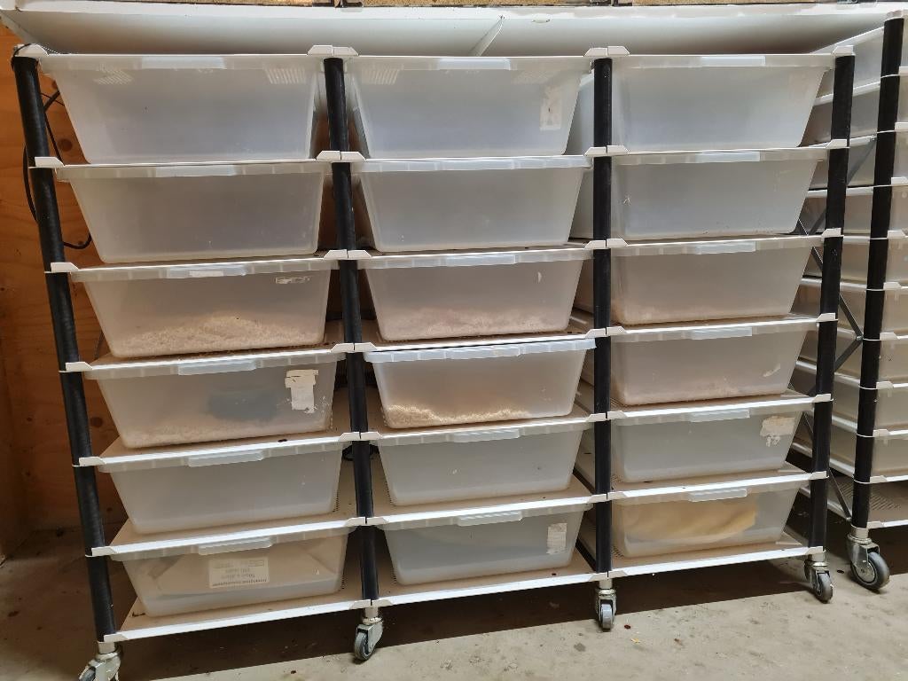 LP racks LP35, Ophalen, Gebruikt, Overige typen
