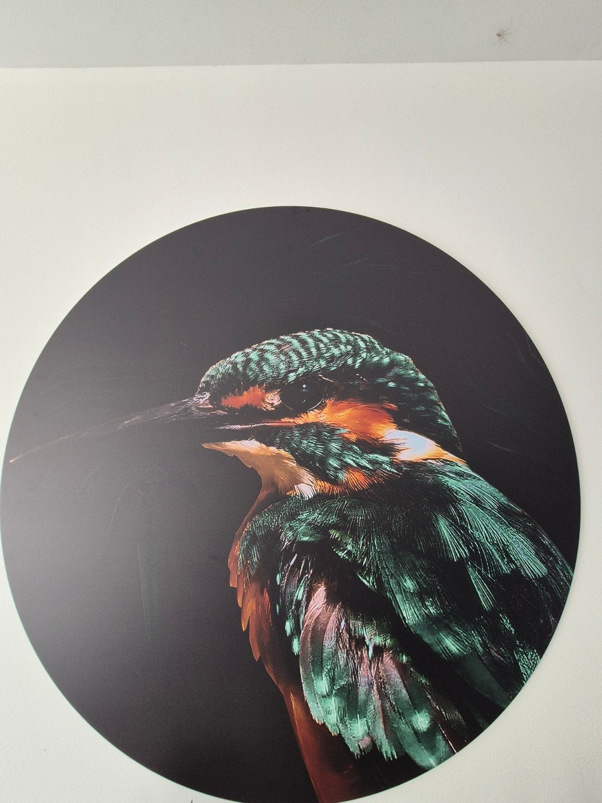 Aluminium wanddecoratie ijsvogel 90x90 cm, Overige typen, Ophalen of Verzenden, Zo goed als nieuw, 75 tot 100 cm