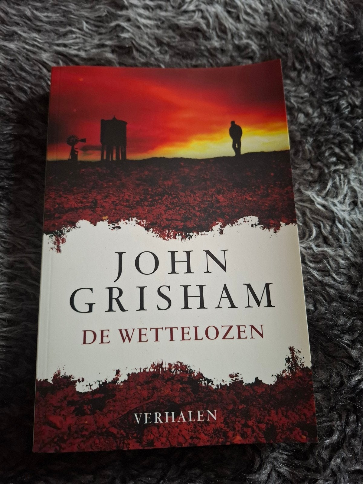 John Grisham - De wettelozen, Ophalen, Zo goed als nieuw, John Grisham