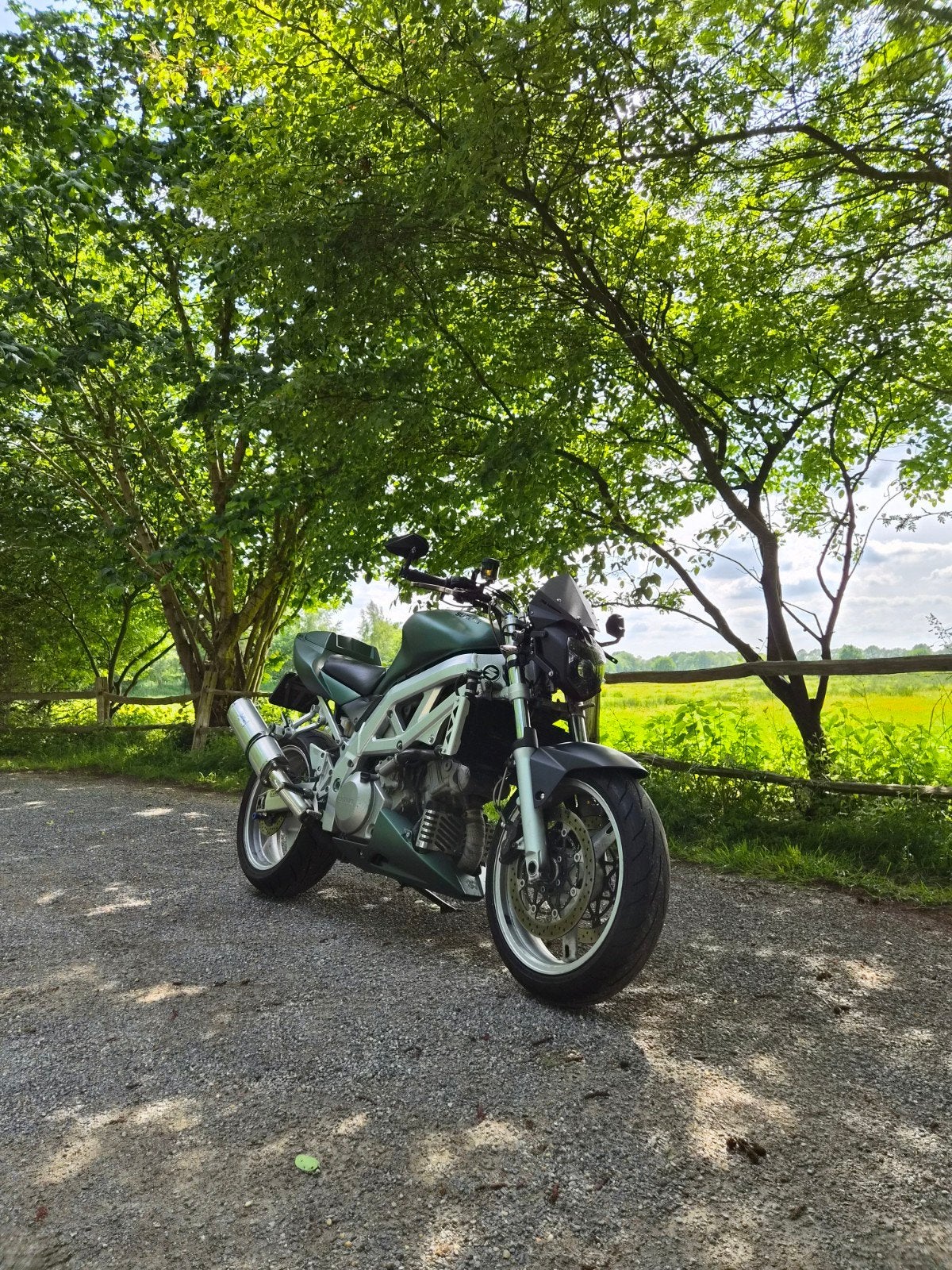 2003 Suzuki SV1000, Motoren, Motoren | Suzuki, 2 cilinders, Motorrijbewijs A, Gebruikt, Particulier