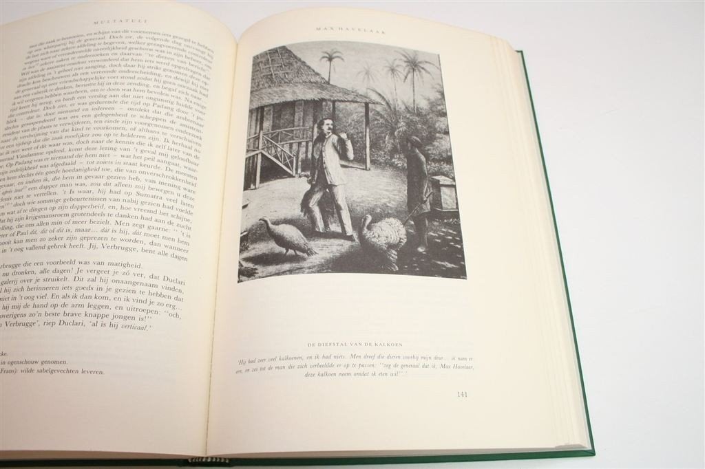 Max Havelaar [Multatuli] — Aanklacht Kolonialisme Indië, Boeken, Ophalen of Verzenden, Gelezen