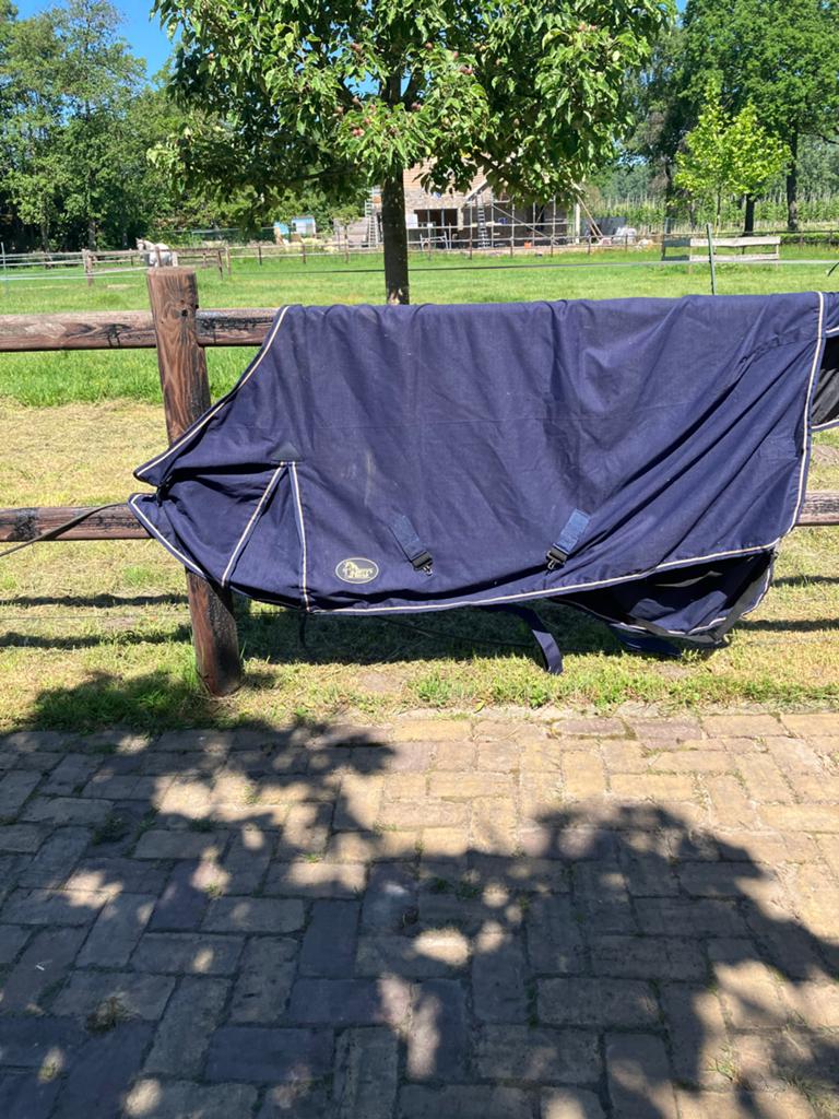 Zomerdeken Harry’s Horse,185cm, Dieren en Toebehoren, Paarden en Pony's | Dekens en Dekjes, Full (L), Katoen, 0 g, Ophalen of Verzenden
