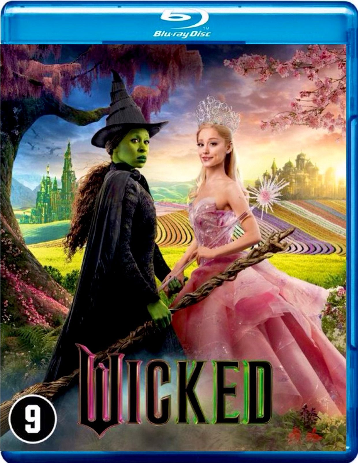 ▪️Wicked (Blu-ray), Ophalen of Verzenden, Zo goed als nieuw, Tekenfilms en Animatie